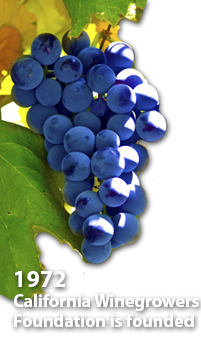 grapes2.png